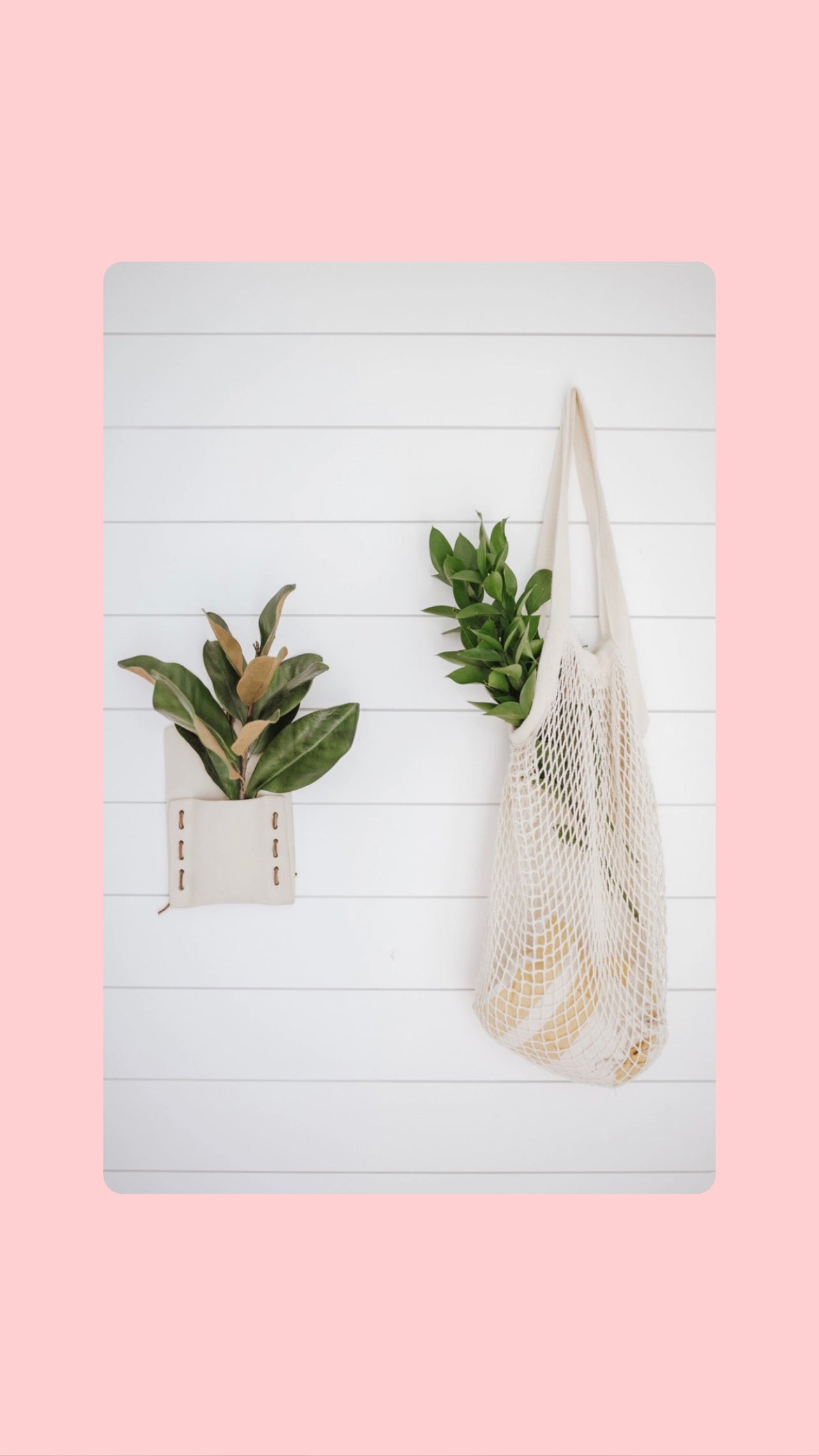 Organic Cotton String Bag