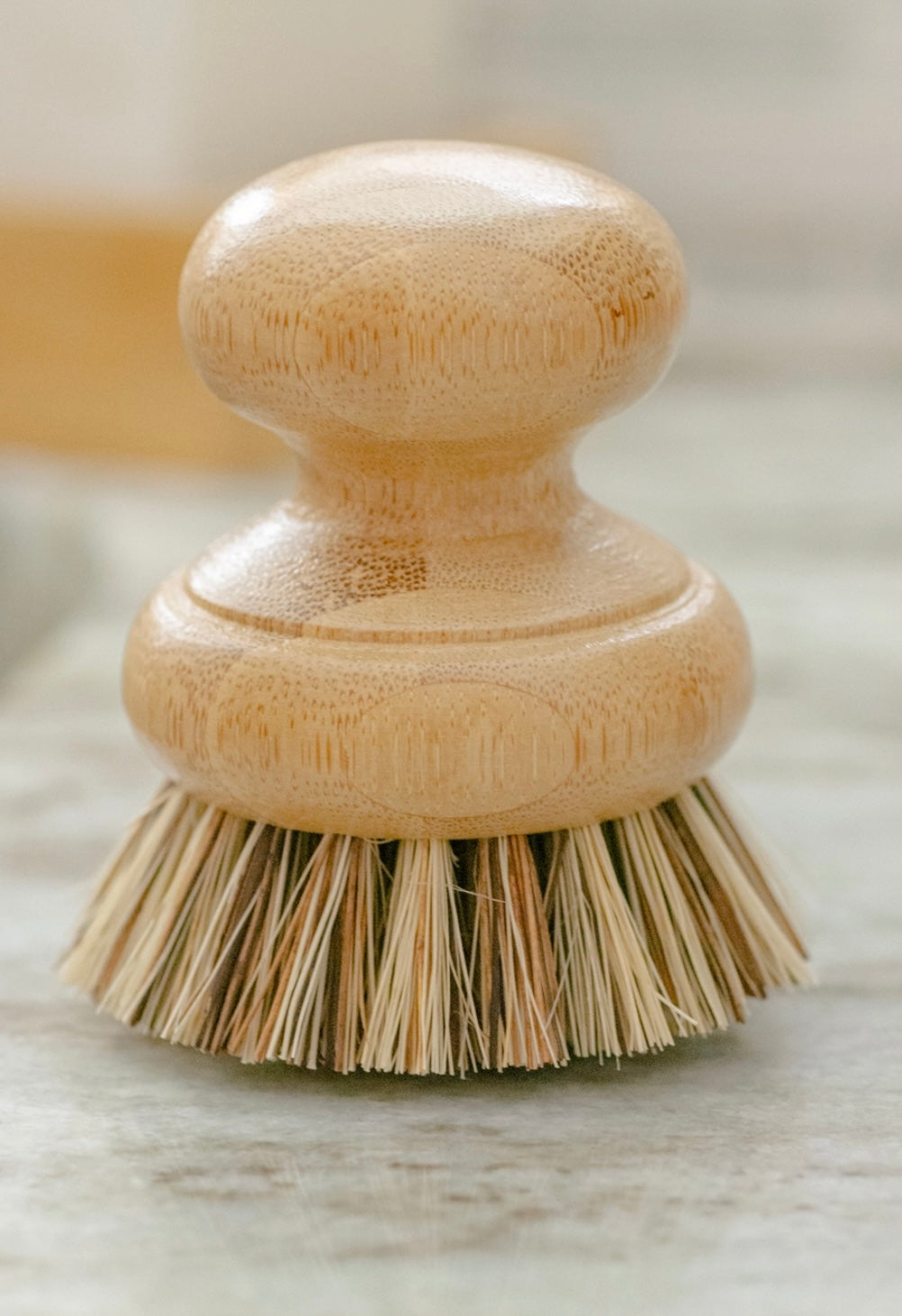 Pot Scrubber Brush