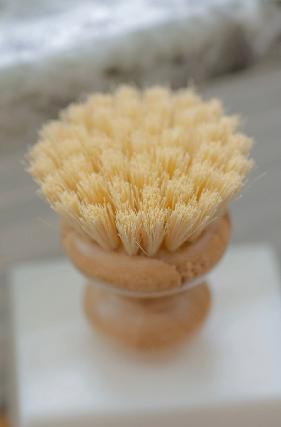 Dish Washing Brush