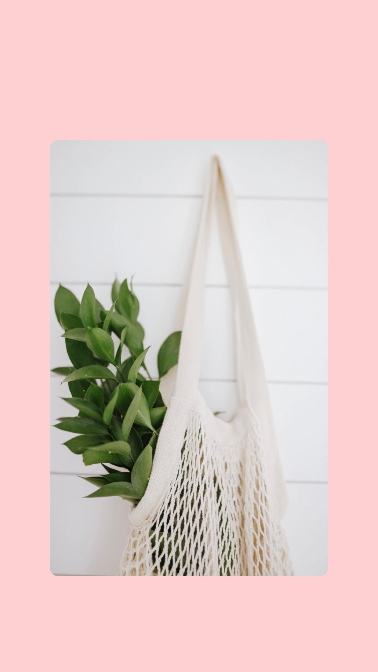 Organic Cotton String Bag