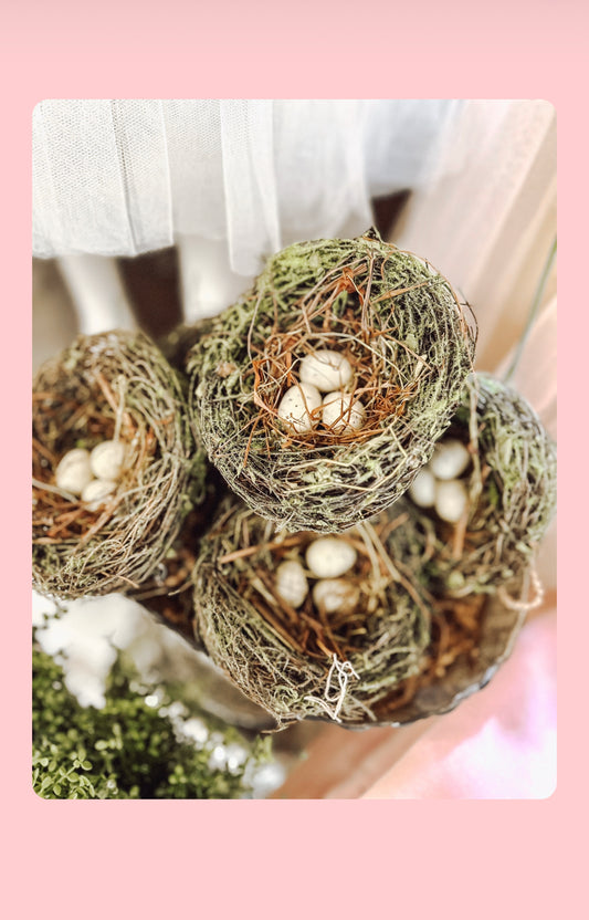 Egg nest