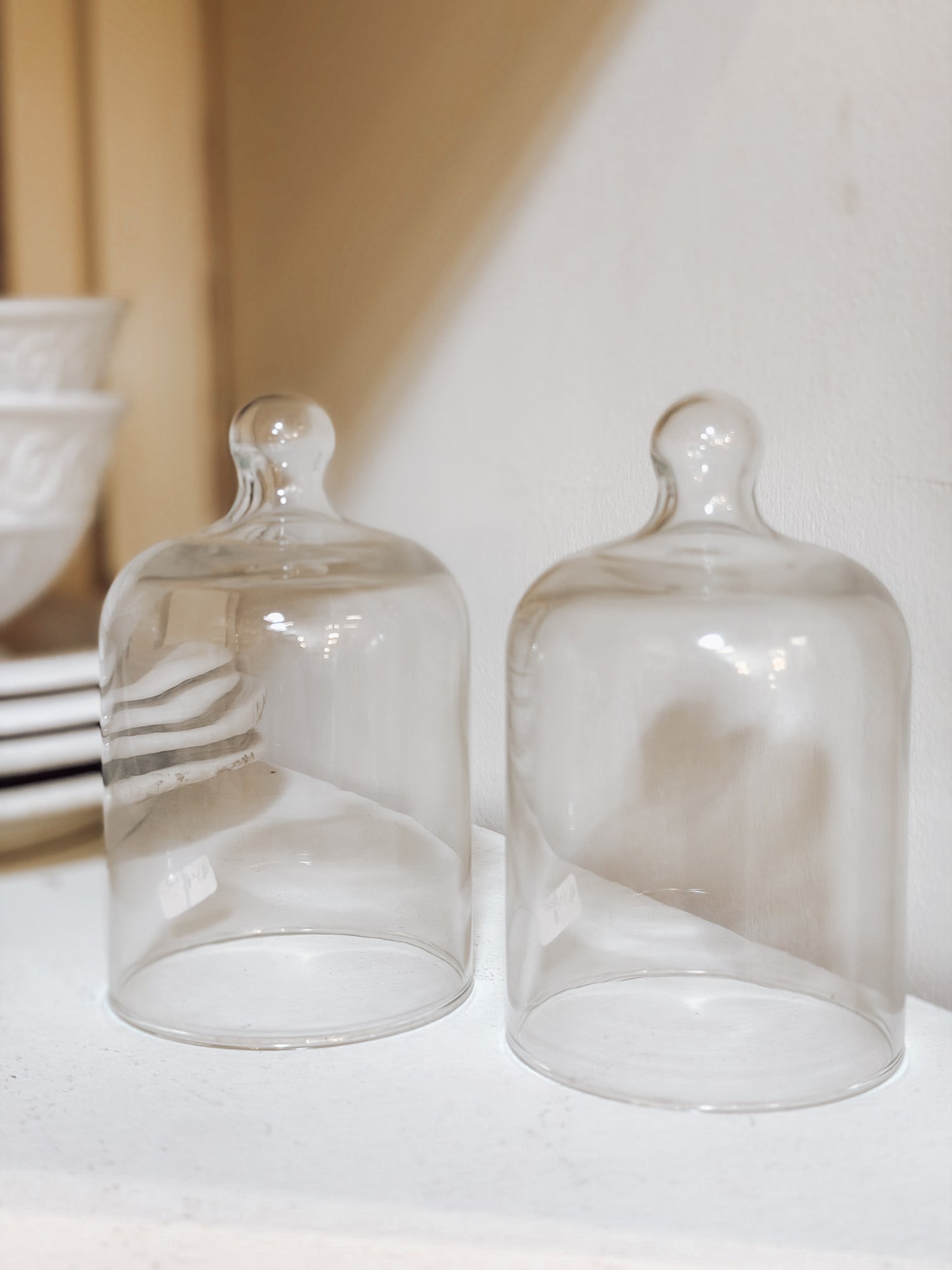 Mini Glass Display Dome –