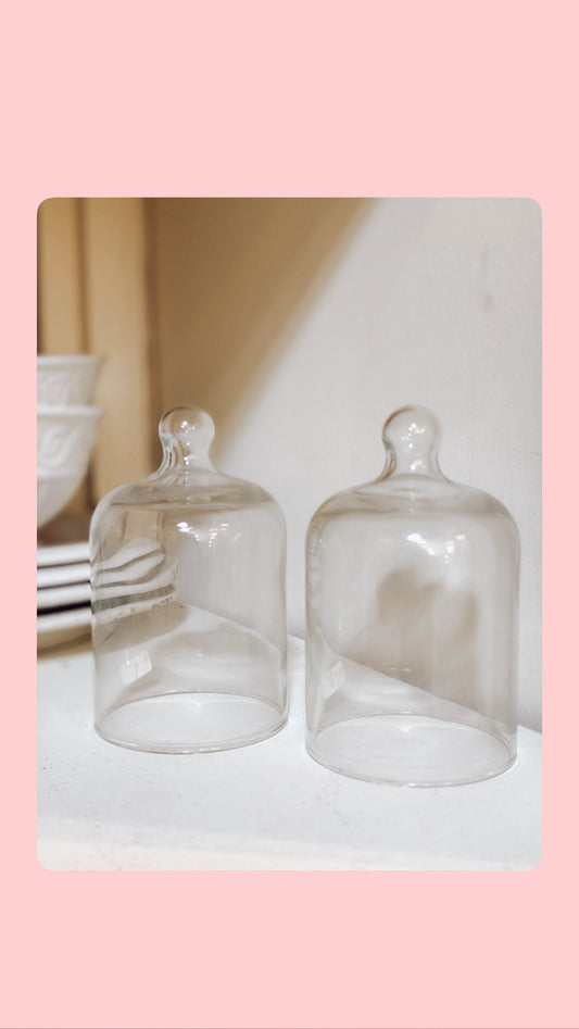 Mini Glass Display Dome –