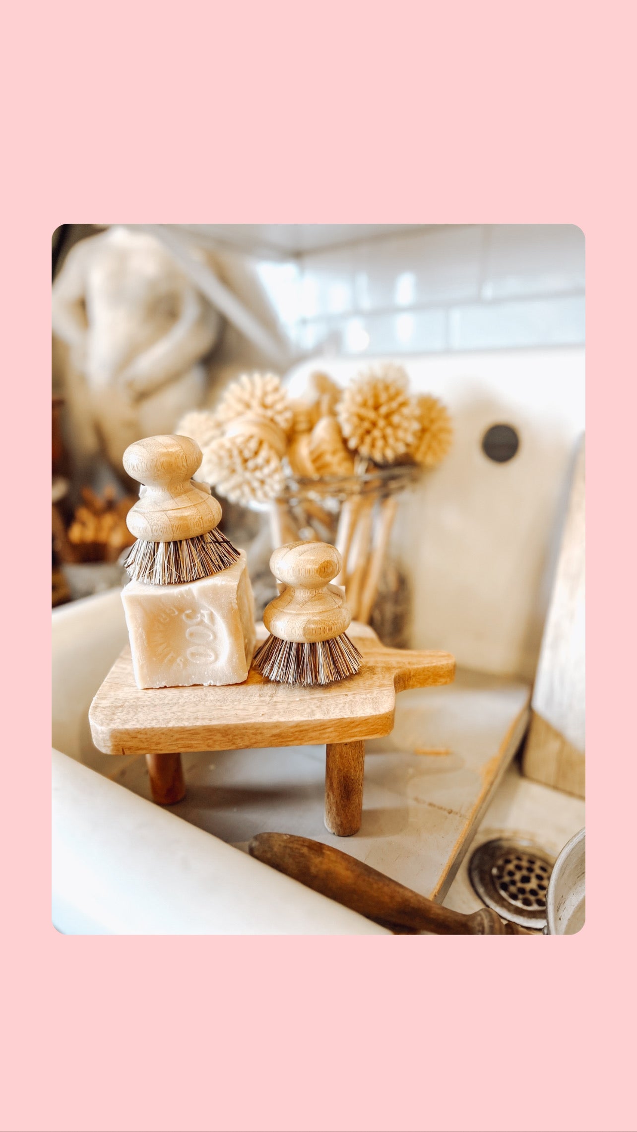 Pot Scrubber Brush