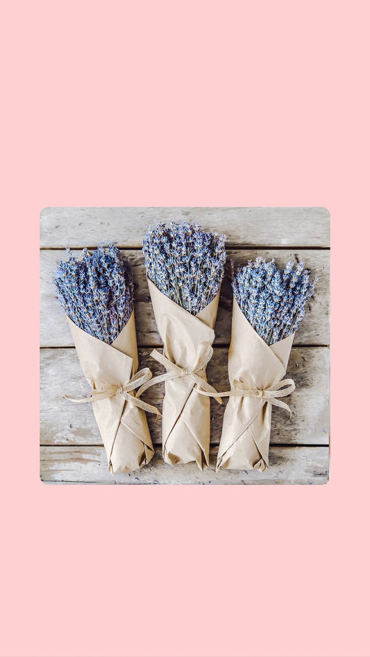 Lavender Bunch 350 Stems