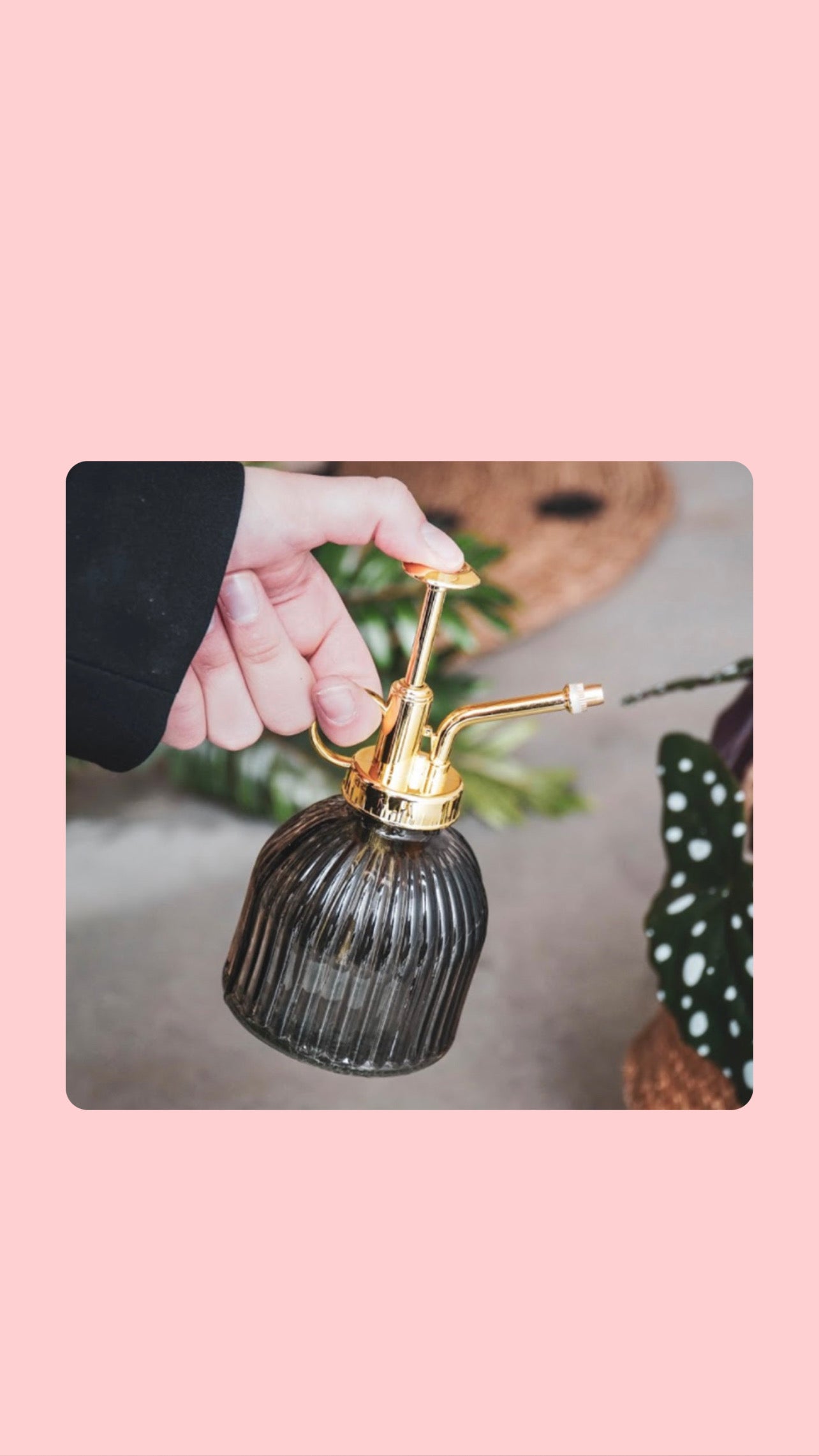 Plant Mister Smokey Glass