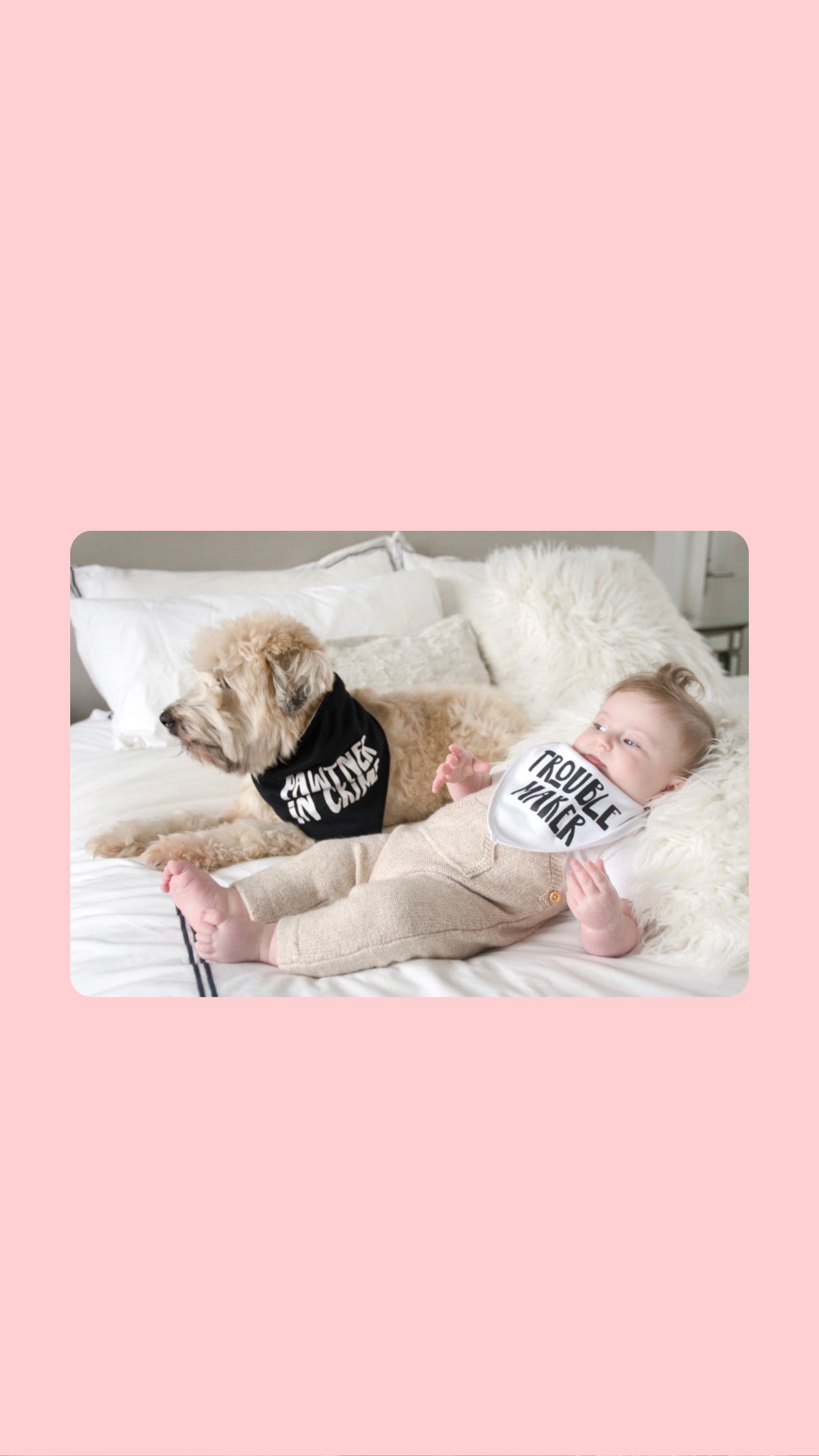 Baby and Pet Bib Set, Black and White