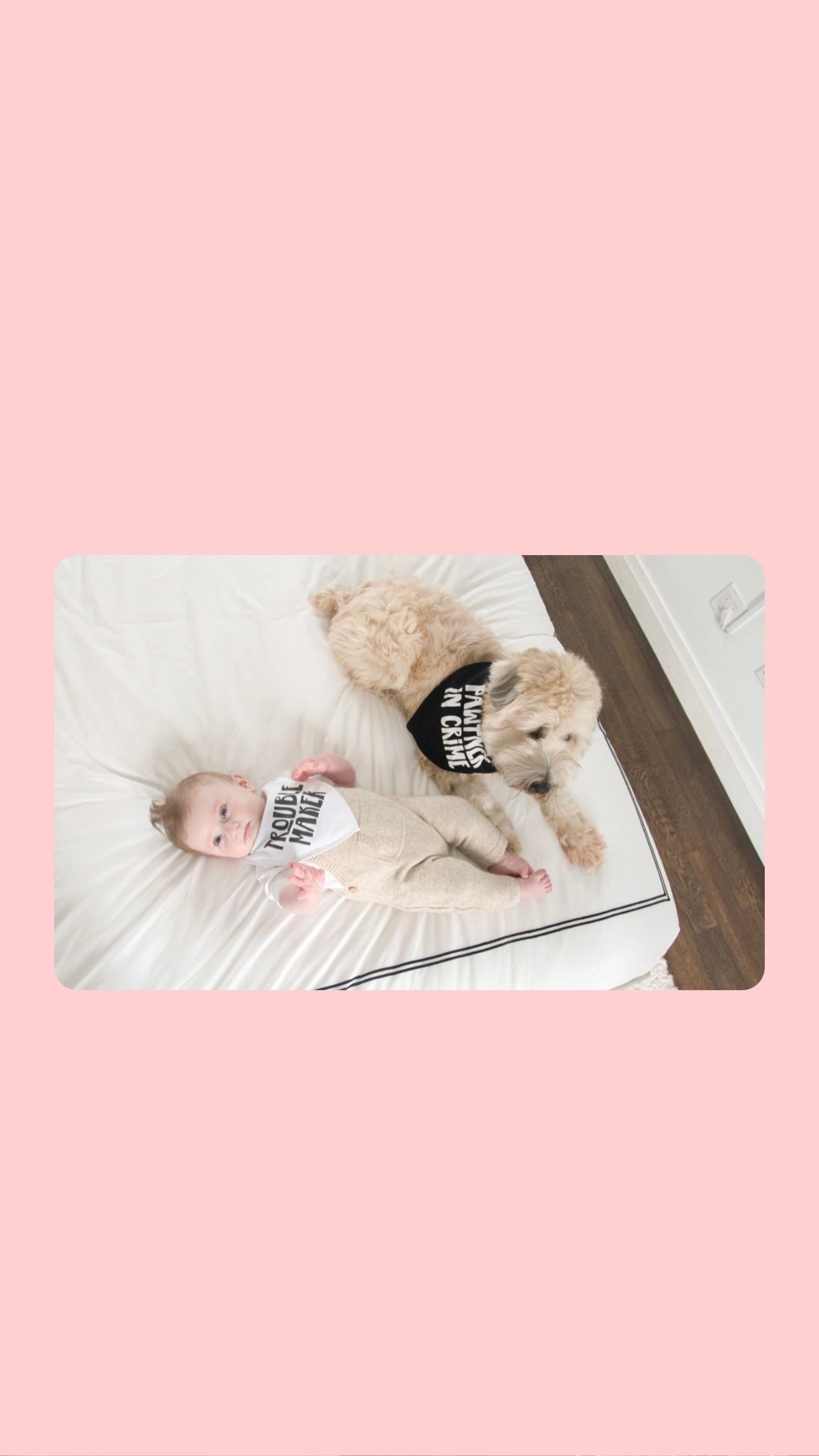 Baby and Pet Bib Set, Black and White