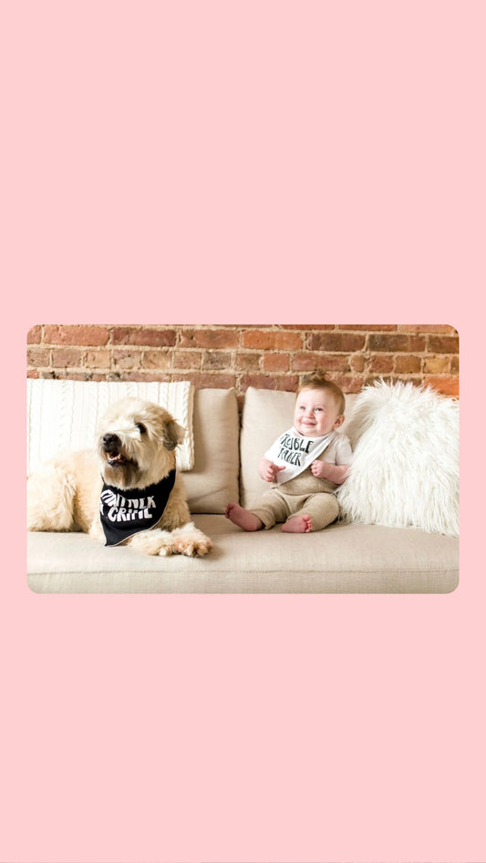 Baby and Pet Bib Set, Black and White